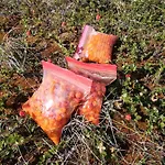 Ved Fjellfroskvatnet Сasa de vacaciones Skjold (Troms)