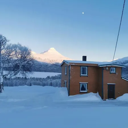 Ved Fjellfroskvatnet *