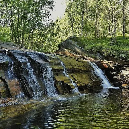 Ved Fjellfroskvatnet *
