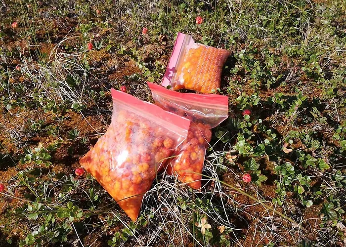 Ved Fjellfroskvatnet Prázdninový dům Skjold (Troms)