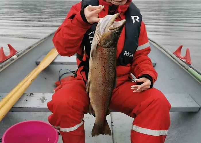 Ved Fjellfroskvatnet * Skjold (Troms)