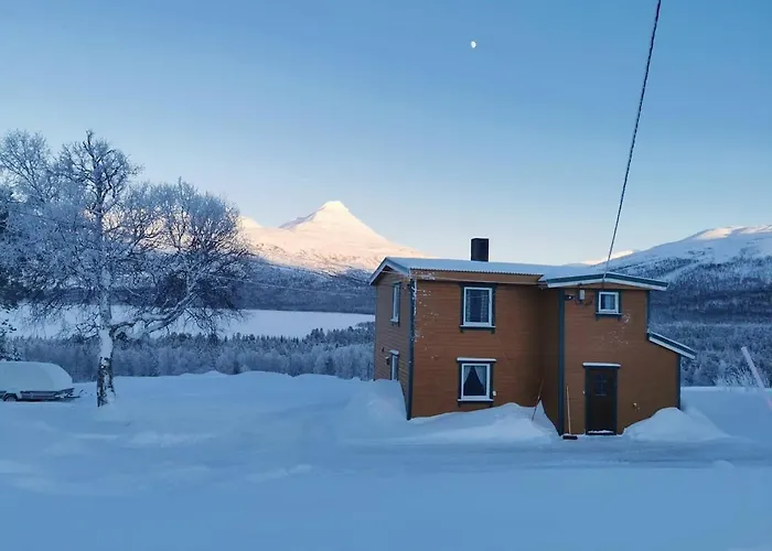 Ved Fjellfroskvatnet *