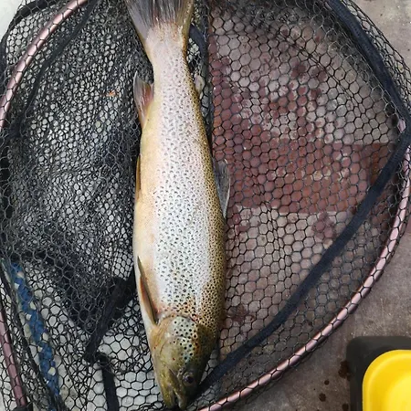 Prázdninový dům Ved Fjellfroskvatnet *
