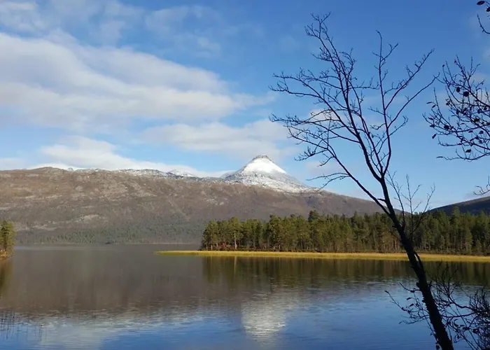 Ved Fjellfroskvatnet Skjold (Troms)