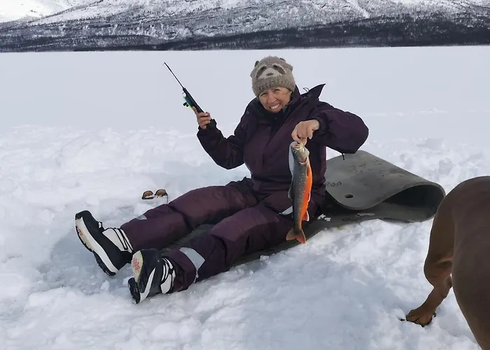 بيت للعطل Ved Fjellfroskvatnet Skjold (Troms)